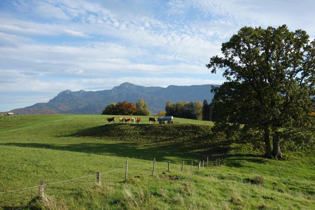 Appartamento - Suedwaerts - Im Blauen Land *